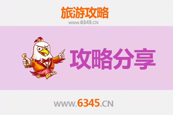 汕尾旅游选择指南：跟团游与自由行全方位对比